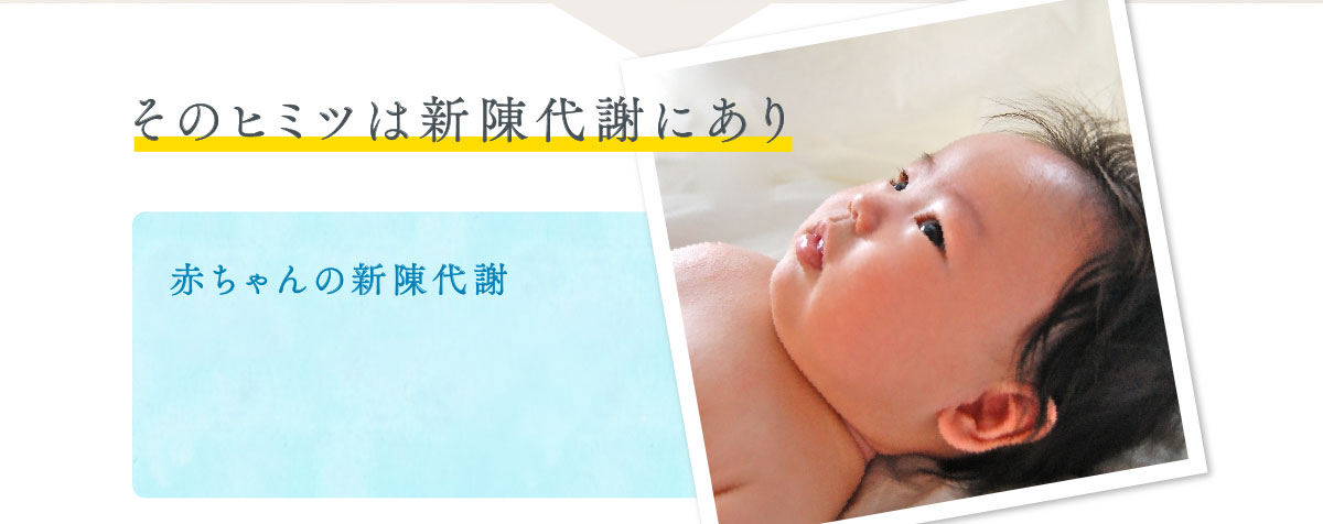 その秘密は新陳代謝にあり
